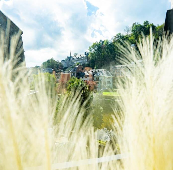 Le Comble Amoureux La-Roche-en-Ardenne Dış mekan fotoğraf